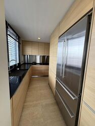 Hana (D10), Condominium #520891861